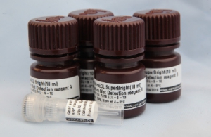 Primary/Secondary/ECL -Agrisera Super deal in the group Detection Reagents / Chemiluminescent detection at Agrisera AB (Antibodies for research) (AS18 PrimSecECL)